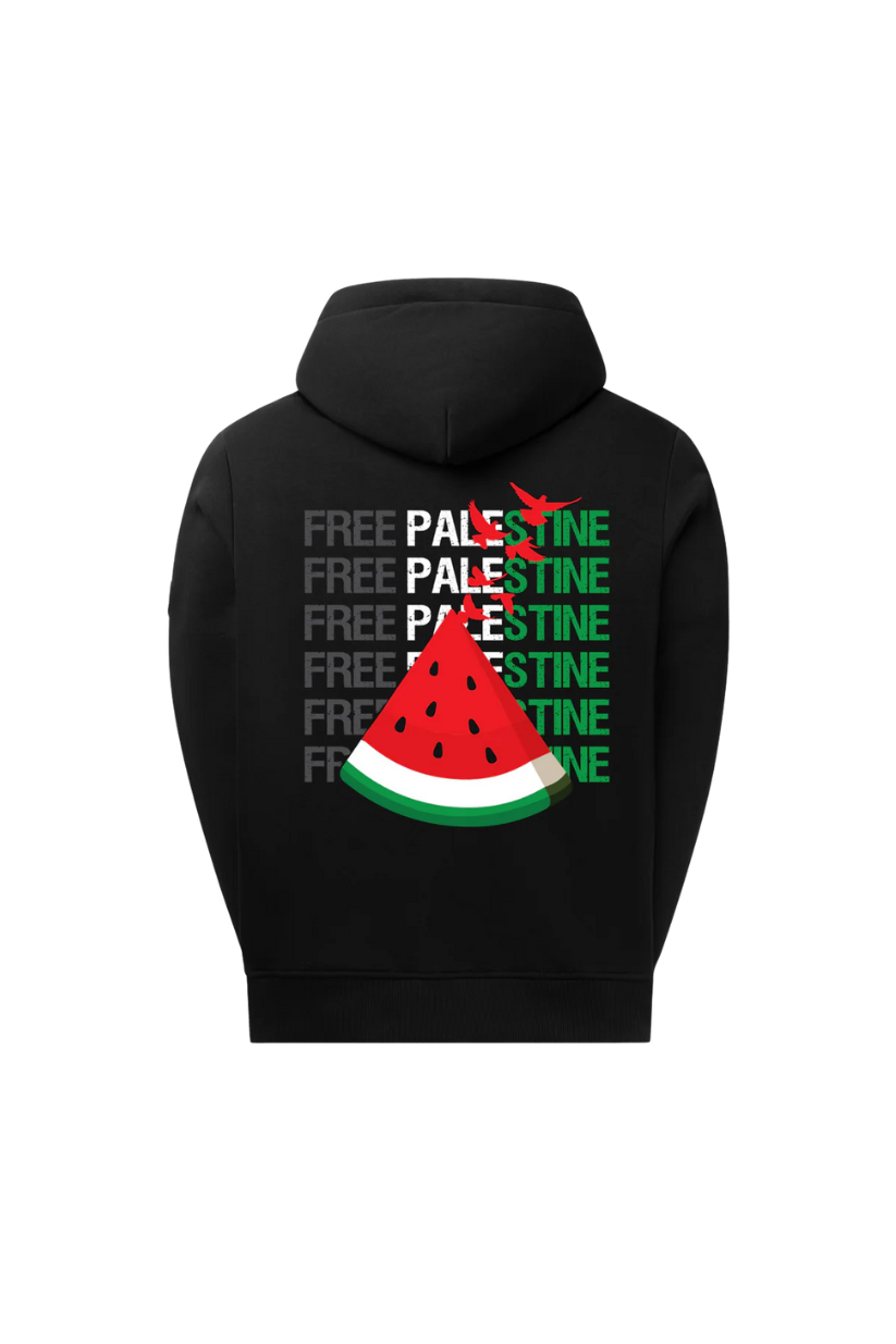 Free Palestine - hoodie