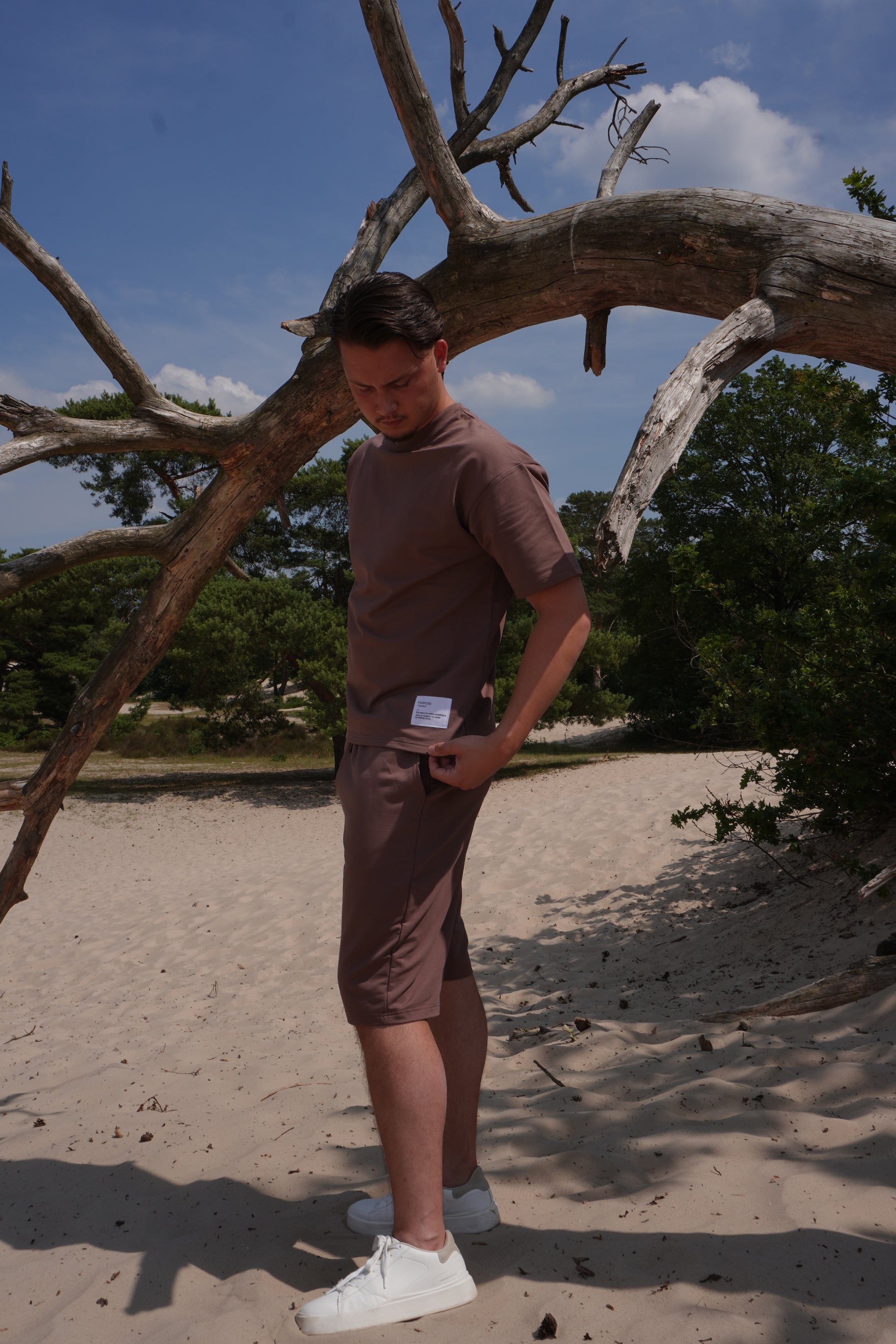 Brown Summer Shorts