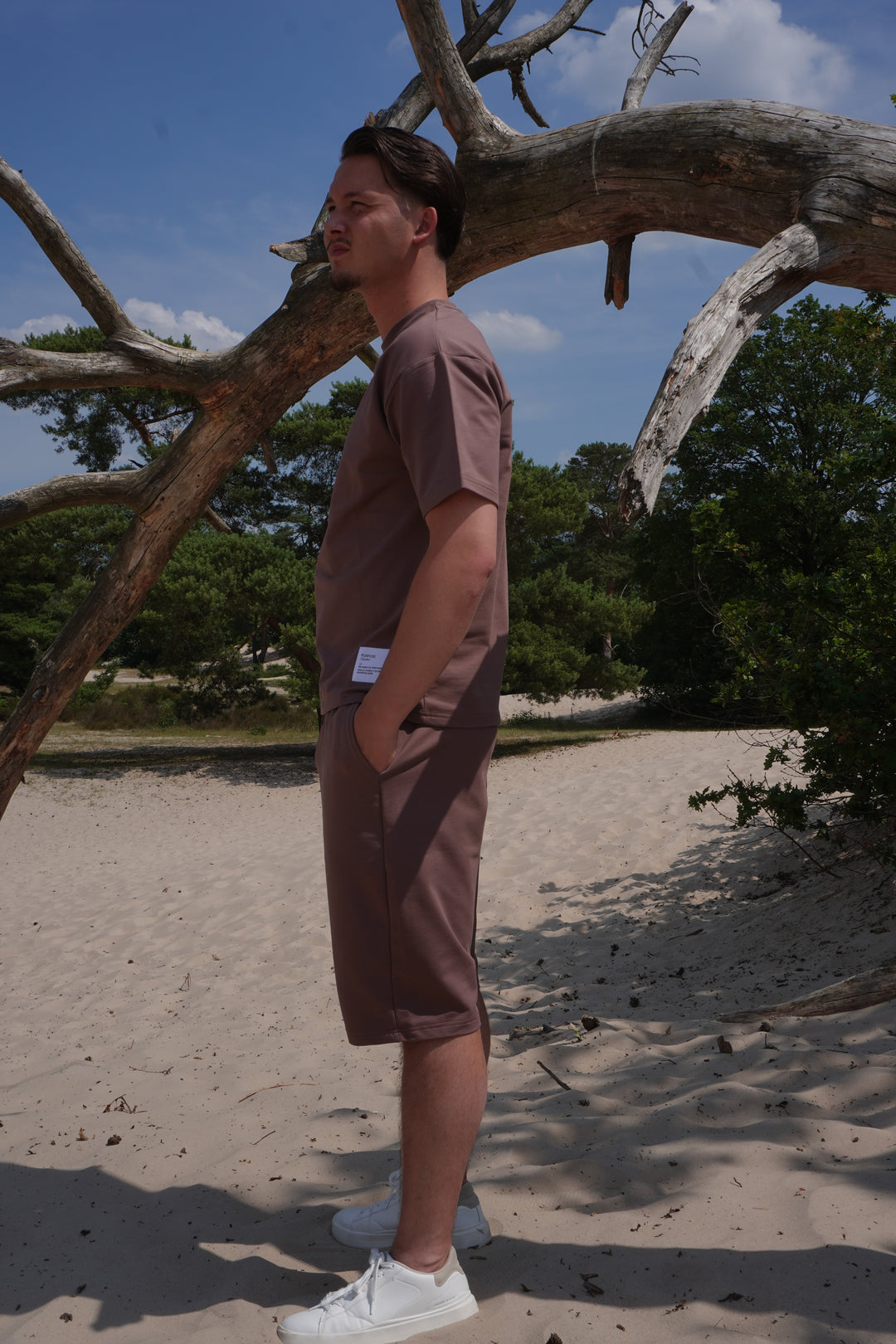 Brown (Taupe) Summer Set T-shirt + Shorts