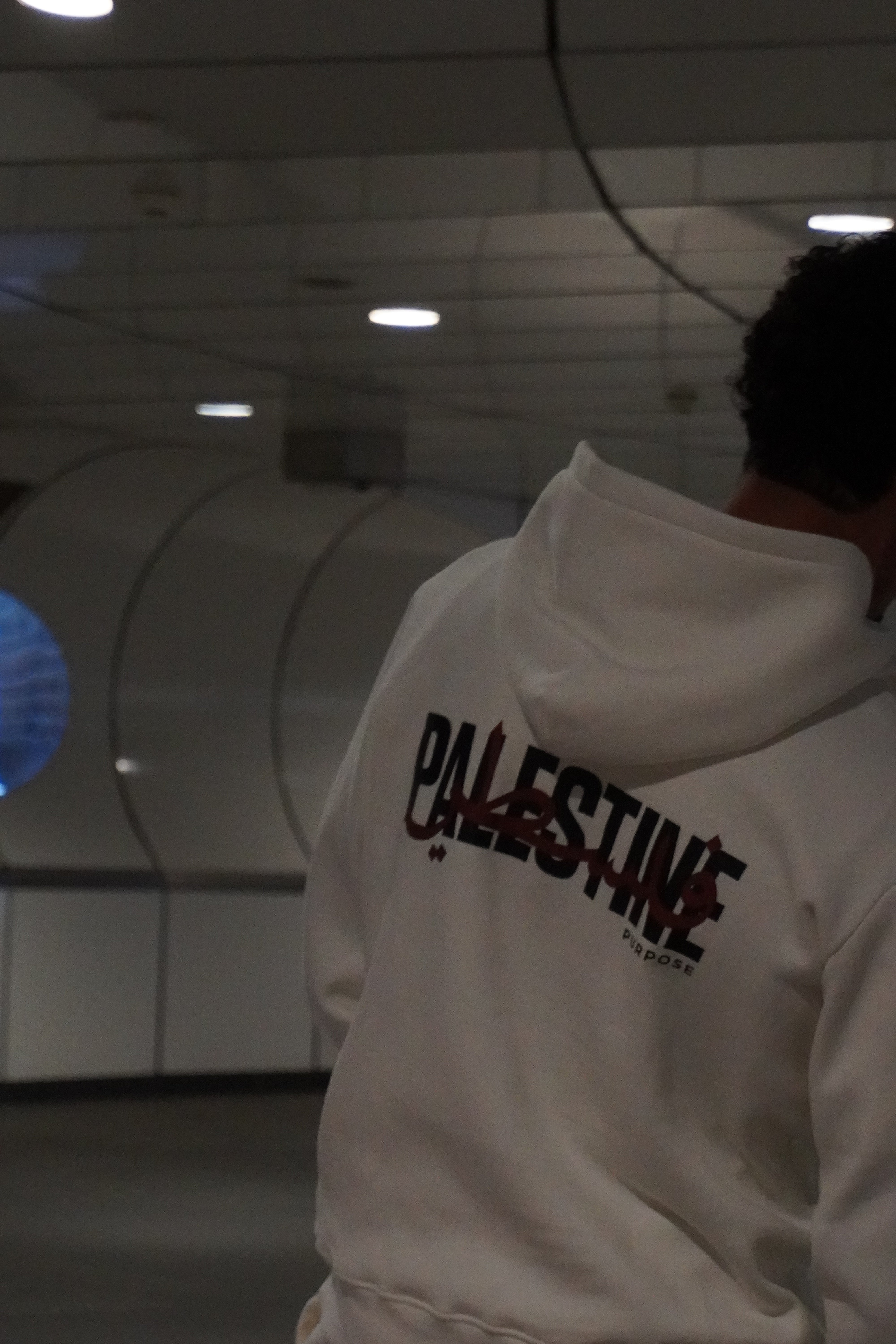 Sweat à capuche blanc PALESTINE